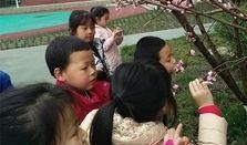 成都幼儿园爆料新闻,成都幼儿园食品安全问题引发关注